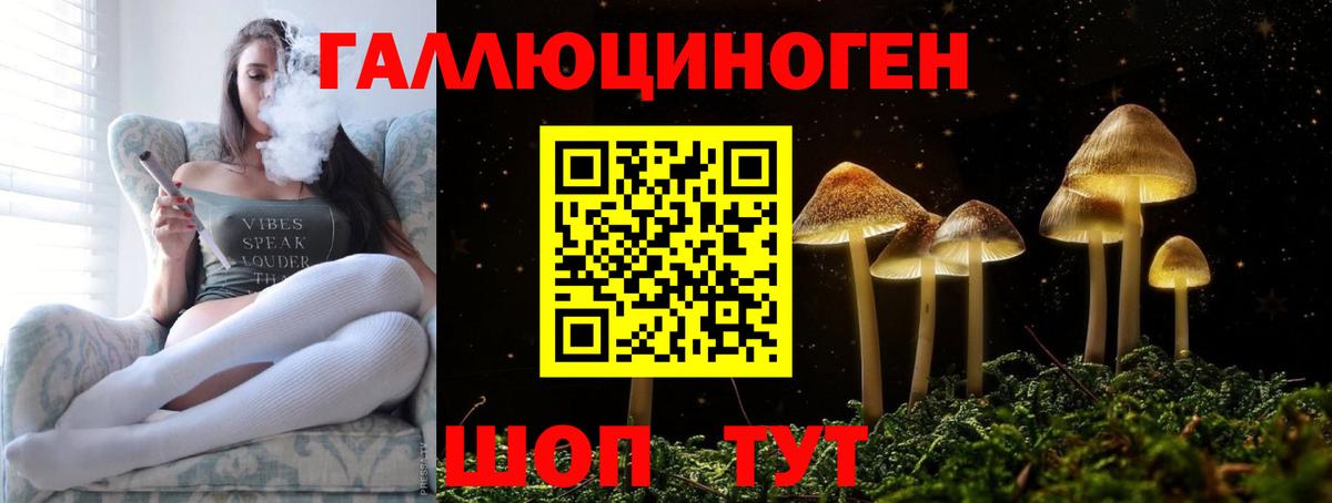 Псилоцибиновые грибы Psilocybe Бирск